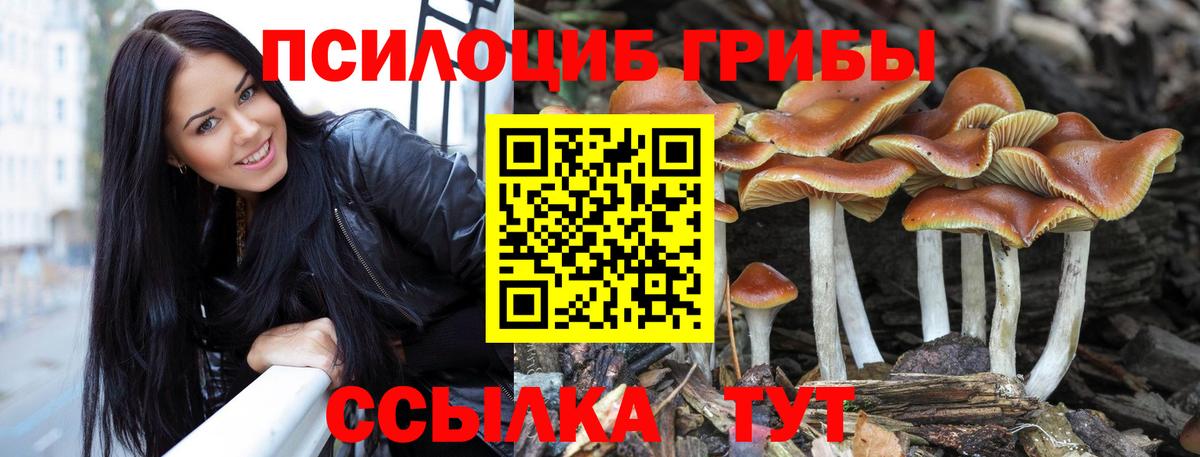 Волгоград  Галлюциногенные грибы GOLDEN TEACHER  купить наркотики сайты  Вход с VPN 