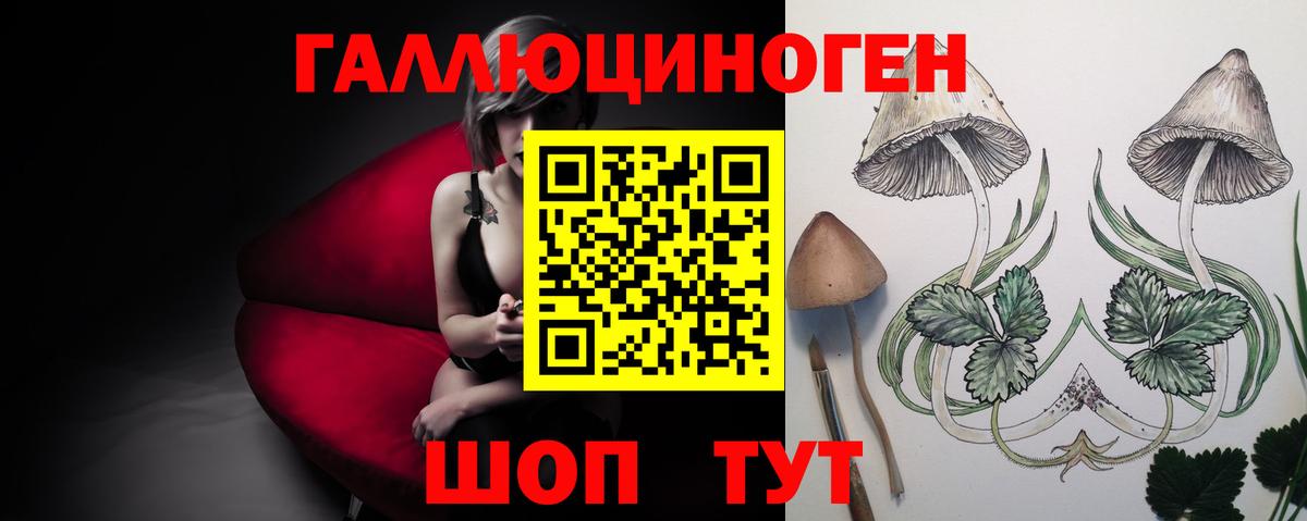 Псилоцибиновые грибы MAGIC MUSHROOMS Волгоград